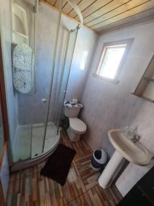 y baño con ducha, aseo y lavamanos. en Cabaña Alejandra, en Puerto Puyuhuapi