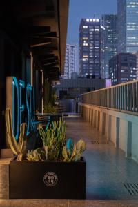 een balkon met een cactus en een sidx sidx sidx bij Chengdu Desti Youth Park Hostel Taiguli in Chengdu