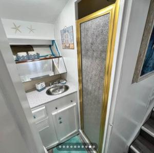 a small bathroom with a shower and a sink at Dock life in Marathon