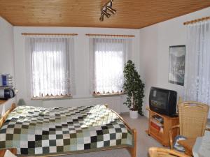 a bedroom with a bed and a tv and windows at Holiday home Kahl in Ilmenau