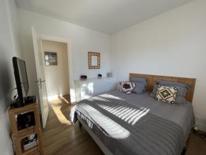sypialnia z łóżkiem i telewizorem z płaskim ekranem w obiekcie Superbe T2 avec balcon et parking, idéalement situé à Arcachon - FR-1-374-200 w Arcachon