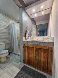 ein Bad mit einem Waschbecken, einem WC und einer Dusche in der Unterkunft Nalu Home in San Francisco de Palmera