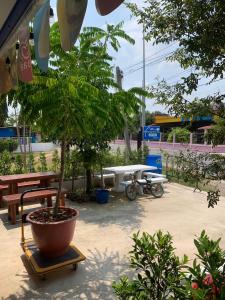a potted tree sitting on a cart next to a bench at Blue Sky Home stay 