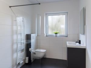 a bathroom with a toilet and a sink and a window at Gästehaus Moorblick in Osten