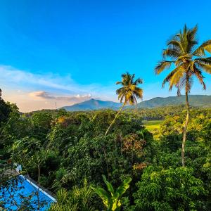 a view of the mountains from a resort with palm trees at Galkanda Walawwa in Kandy