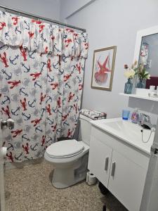 a bathroom with a toilet and a shower curtain at KVC Apartamento Privado Aguadilla in Aguadilla