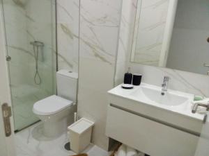 y baño con aseo, lavabo y ducha. en Ground Floor Terrace Flat by Porto en São Mamede de Infesta