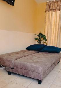 ein Bett mit zwei Kissen auf einem Zimmer in der Unterkunft Alojamiento completo Tabachines in Ixtapan de la Sal