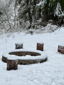 a snow covered bench in the snow with trees in the background at Log Cabin at Rainier Lodge (0.4 miles from entrance) in Ashford