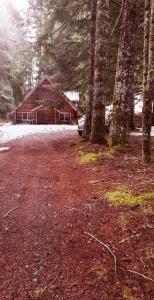 una cabaña en el bosque con árboles y una entrada en Log Cabin at Rainier Lodge (0.4 miles from entrance) en Ashford