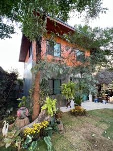 una casa con árboles y plantas delante de ella en Pai Chao Kha, en Pai