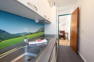 a kitchen with a sink and a view of a field at Alpenhimmel in Garmisch-Partenkirchen