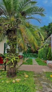 un palmier devant un bâtiment avec un trottoir dans l'établissement Hotel Campestre Gualiva, à La Vega