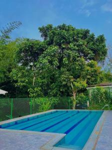 une piscine vide avec un arbre en arrière-plan dans l'établissement Hotel Campestre Gualiva, à La Vega