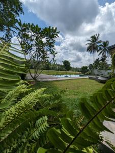 a park with green plants and palm trees and a pool at Villa198 in Padukka