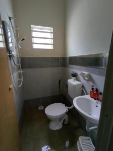 a bathroom with a toilet and a sink at Doleena's Homestay in Sitiawan