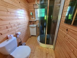 a bathroom with a toilet and a shower in it at Pensjonacik Ogrody in Pierzchno