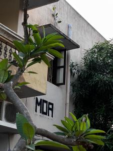 a tree in front of a building with a window at MOA Auroville pondicherry in Auroville