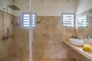 ein Bad mit einer Dusche und einem Waschbecken in der Unterkunft Villa Saint Alban by Habitation Saint Charles in Petit-Bourg