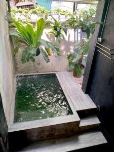 uma piscina de água num quarto com plantas em TinyHouse w/ Pool & Alfresco Area for Guests em Bacolod
