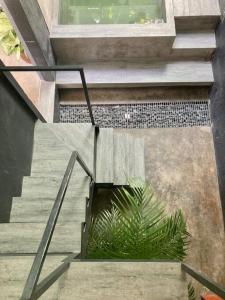uma escada com uma planta no meio de um edifício em TinyHouse w/ Pool & Alfresco Area for Guests em Bacolod