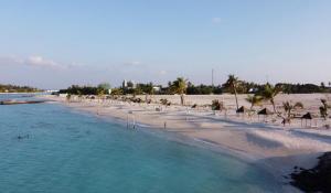 una spiaggia con alberi e ombrelloni e l'oceano di Adroit Beach Inn a Guraidhoo