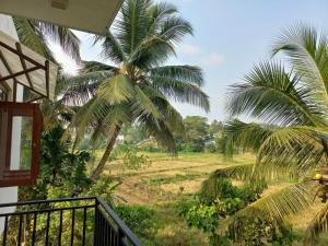 a view of a palm tree from a balcony at Villa paddy feild in Hiripitiya