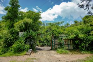 una vieja puerta en medio de un bosque en Fravan Eco Resort By Apogee en Ruhengeri