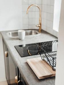 a kitchen counter with a sink and a cutting board at kleines Stadthaus in Isny im Allgäu