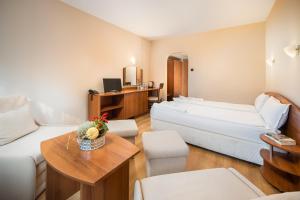 Cette chambre comprend un grand lit et un bureau. dans l'établissement Room in BB - Hotel Moura Double Room n5168, à Borovets
