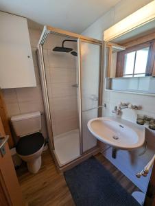 uma casa de banho com um chuveiro, um lavatório e um WC. em Mimöseli em Schwarzsee