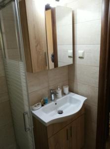 a bathroom with a white sink and a shower at Voulas Traditional House Meteora 3 in Kalabaka