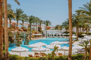 vista sulla piscina del resort con ombrelloni e palme di Baron Palms Adults Friendly Only 16 years plus Boutique Hotel Style a Sharm El Sheikh