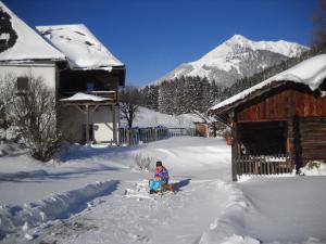 a person sitting in the snow with a dog at Chalet Hansl in Vordernberg