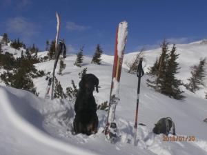 Chalet Hansl að vetri til