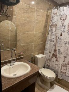 a bathroom with a sink and a toilet and a shower curtain at King Of Pyramids Hotel in Cairo