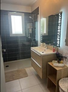 a bathroom with a shower and a sink and a mirror at Petite maison au calme in Poupry