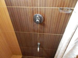 a shower with a water faucet in a bathroom at Starmark Hotel in Naga