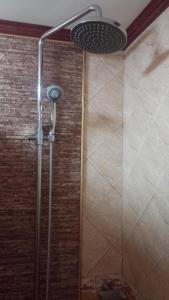 a shower with a glass door in a bathroom at Swiss Chalet in Malabañas