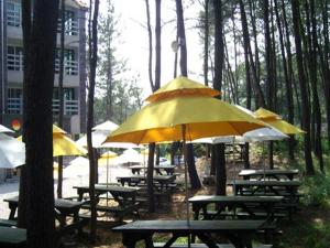 grupa stołów piknikowych z żółtymi parasolami w obiekcie Mangsang Haeorum Family Hotel w mieście Donghae
