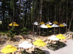 a group of yellow and white umbrellas on a beach at Mangsang Haeorum Family Hotel in Donghae
