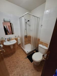 Un baño con ducha, inodoro y lavabo. en Gri's place, en Bansko