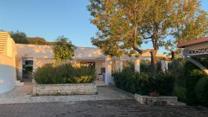 a white house with a tree in the yard at IL Quieto Uliveto in Ostuni