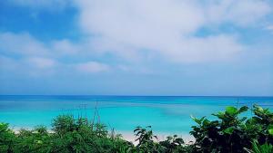 a view of the ocean from a beach at やどバンブー in Hateruma