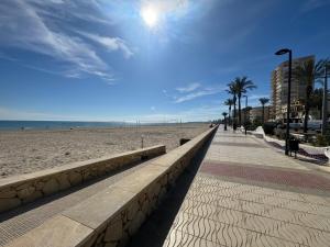 una playa de arena con palmeras y una acera en Apartamento Muchavista Primera Línea de Playa By El Conserje en El Campello