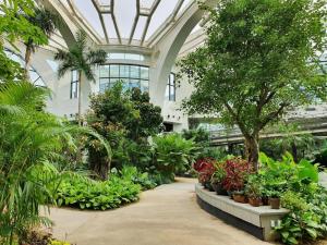 a greenhouse with plants and trees in a building at Hwagok Haedamchae in Seoul