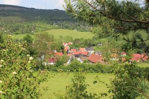 un villaggio in un campo verde con case e alberi di Ferienwohnung Kleinbreitenbach a Plaue