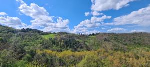 烏比諾的住宿－Colleverde Country House & SPA Urbino，树木和云层的山丘空中景观