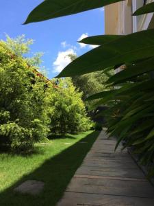 um passadiço com plantas e árvores verdes e um edifício em Nina Hotel em Salatiga