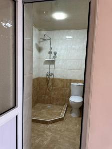 a bathroom with a shower and a toilet at Хостел Мистер Шох in Koshbakaly